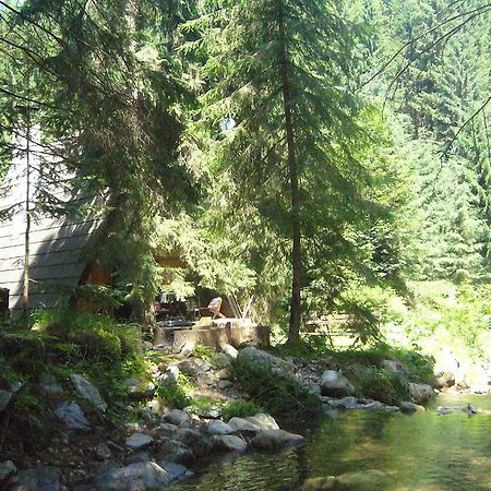 Chata Pri Potoku Zuberec Exteriér fotografie